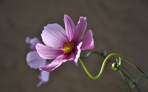 1646031483124636.png image.png