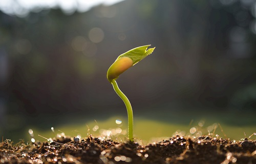 1648191045360140.png image.png