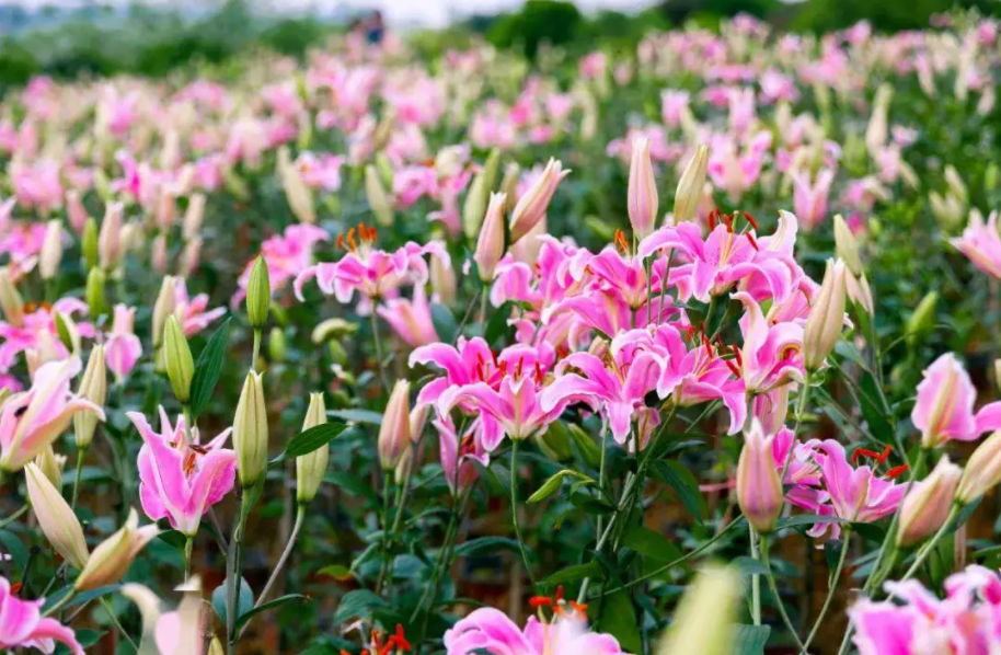 1648623616125537.png 1648623616125537.png