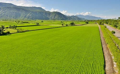 1648792387187311.png image.png