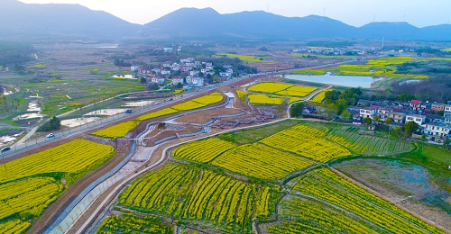 1650258782194849.png image.png