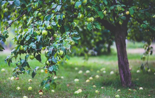 1650855701143128.png image.png