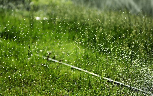 1651122973152767.png image.png