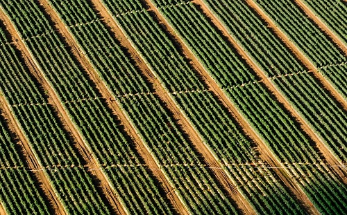 1652842678151339.png image.png