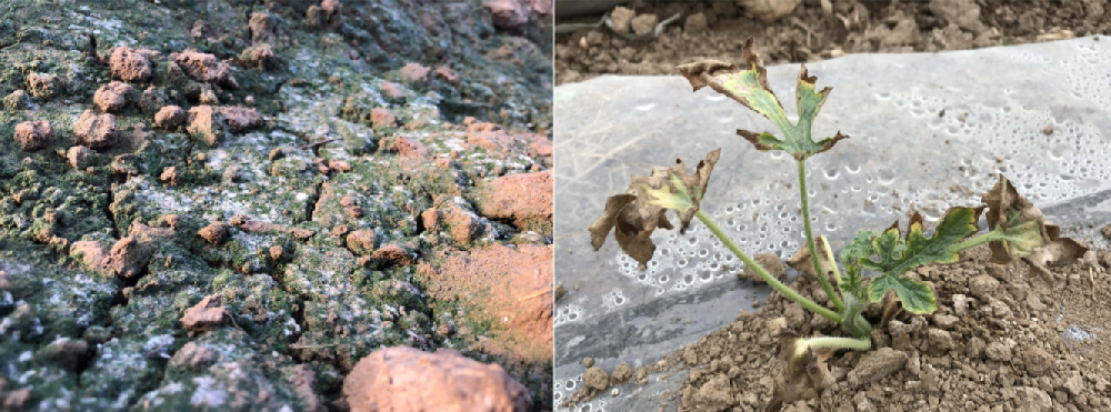 1653361343199006.png 1653361343199006.png