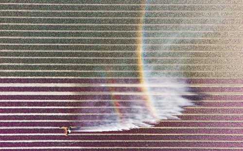 1653450379747448.png image.png