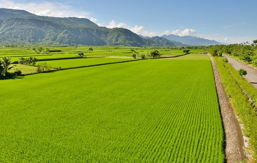 1655864494115899.png image.png