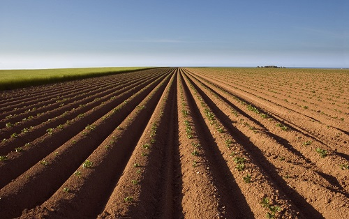 1656039941743705.png image.png