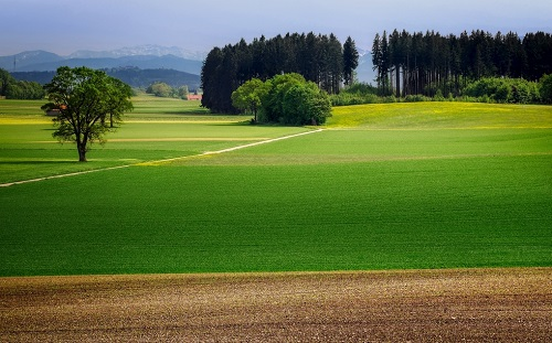 1658129149187691.png image.png