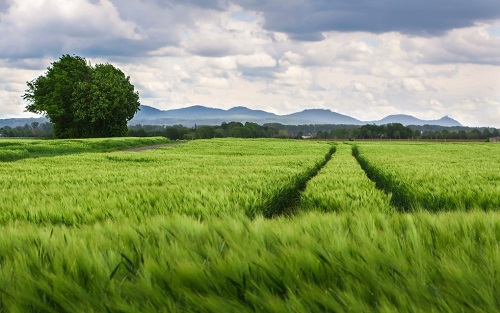 1659679128192780.png image.png