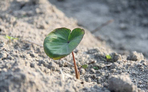 1660188616174703.png image.png