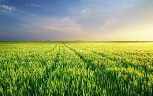 1661133731892790.png image.png