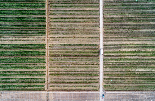 1662104052182791.png image.png