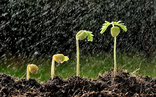 1663559072435257.png image.png