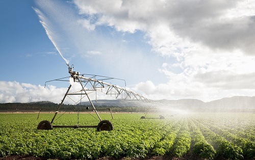 1665286976155443.png image.png