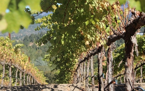 1665989240263852.png image.png