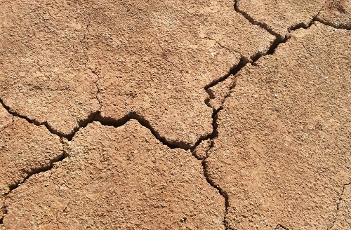 1666582846149902.png image.png