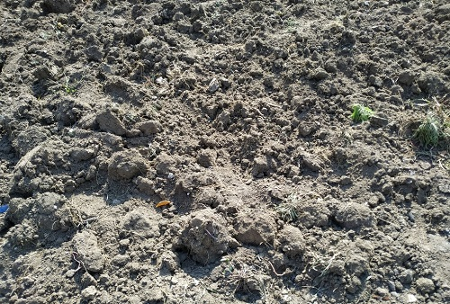 1666928276204677.png image.png