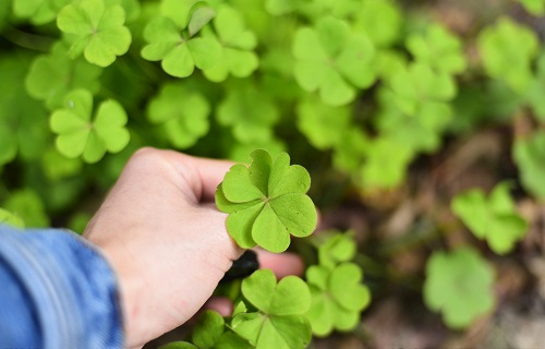 1667892271146013.png image.png