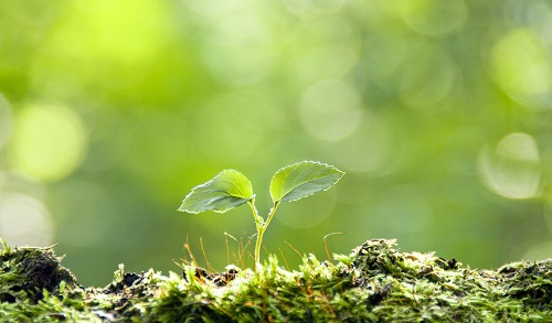 1667970901173704.png image.png