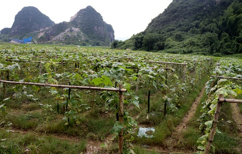 1669097650326930.png image.png