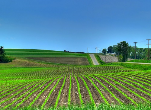 1669271062109213.png image.png