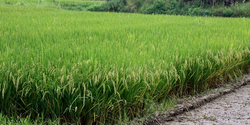 1669607389454525.png image.png