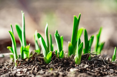 1669962278286180.png image.png