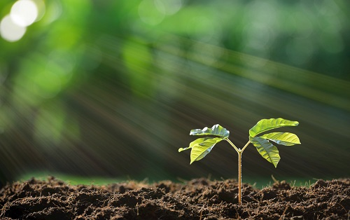 1670570413109815.png image.png