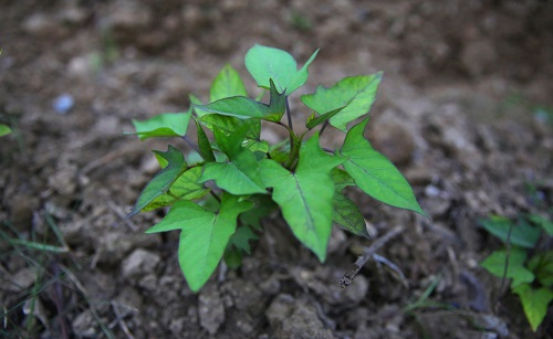 1670916474188312.png image.png