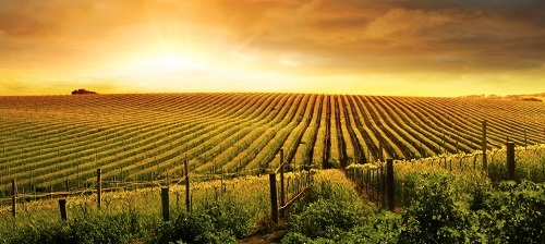 1671177389207815.png image.png