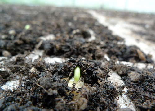 1673504656114790.png image.png