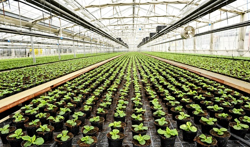 1675739783150672.png image.png