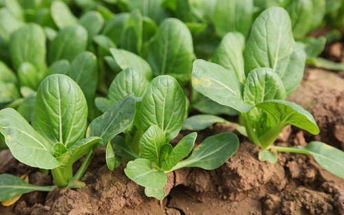 1676006571131576.png image.png