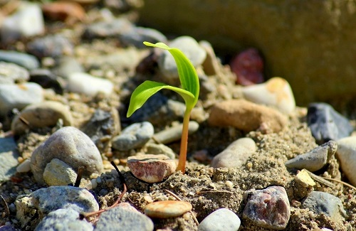 1676616054596752.png image.png