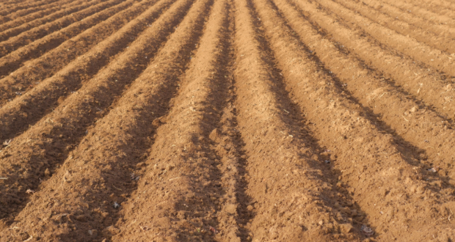 1680503939167835.png 土壤养分检测仪的检测原理