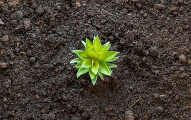 1681109446635307.png 土壤水势测定仪