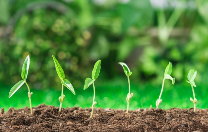 1681194150169523.png 土壤酸碱度速测仪的自我介绍