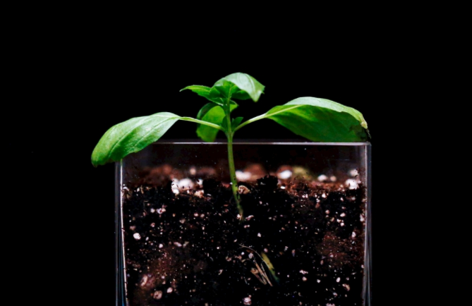 1681890236159301.png 土壤养分速测仪