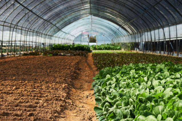 1683185049185106.png 土壤测量仪器