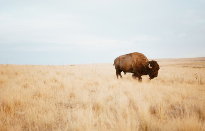 1684806839349924.png 1684806839349924.png