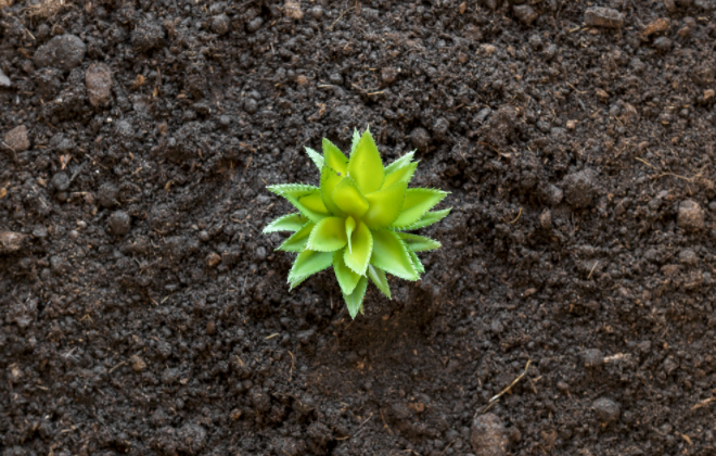 1685425456140995.png 土壤微量元素测定仪